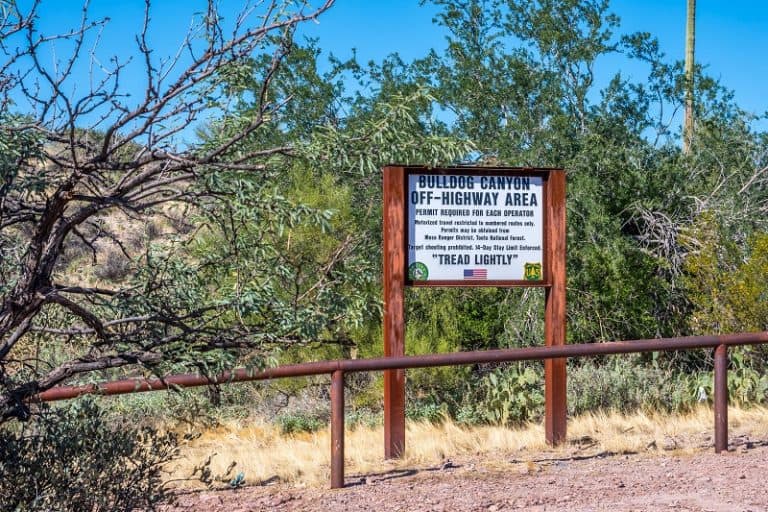 Tonto National Forest ATV Trails Including Bulldog Canyon Wild ATV